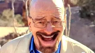 Walter White's reaction to that information