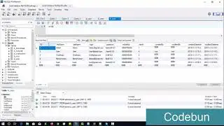 How to update table data in mysql workbeanch