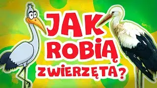 Jak robią zwierzęta? Odgłosy zwierząt || Bajki dla dzieci po polsku