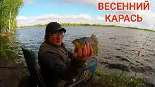 Ух Что Творит этот Карась! Отличный Клёв при Плохой Погоде. Рыбалка на Карьере