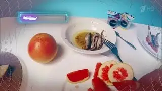 Теория заговора (27.11.2016) Продукты, укорачивающие жизнь
