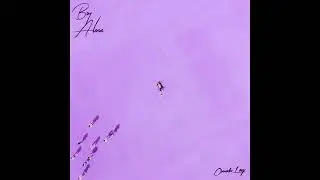 Omah Lay - never forget (Official Audio)