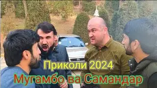 Приколи 2024 Мугамбо муйи Сар тавобат мекна