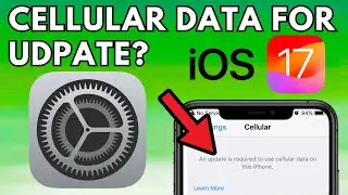 An Update is Required to Use Cellular Data on this iPhone