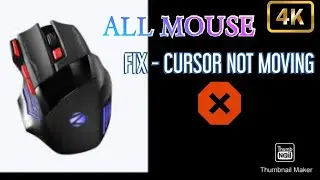 How To Fix All Mouse Cursor Not Moving But Click Is Working? | Easy Way #mousecursornotmoving,