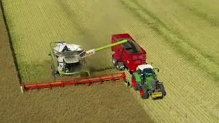 Rapsernte mit Krampe BB790 und Claas Lexion