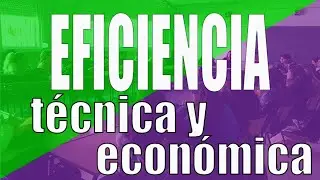 Eficiencia técnica y económica