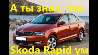 Обзор  Шкода Рапид  Skoda Rapid