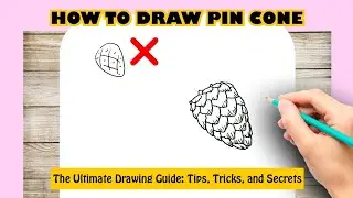 PINE CONE DRAWING Easy