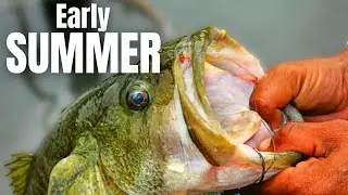 Early SUMMER Bass FISHING (Find Magical Areas)