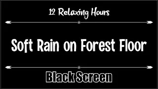 Soft Rain on Forest Floor 12 hours, Dark Screen, Relaxation, Sleep, Calm, Relax,  Black Screen