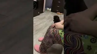 Умный щенок, Тоффи, 2 месяца,команда- нельзя