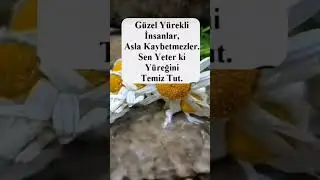 #duygusalvideolar #anlamlısözler #güzelsözler #beniöneçıkart #shorts #viralvideo #keşfet #reels