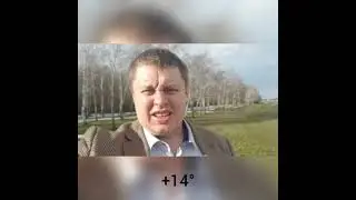 Сальский городской суд Ростовской области. 04.02.2020г. гражданское дело по залитию квартиры.