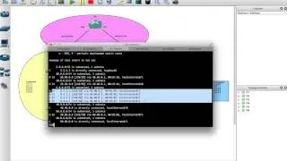 ospf route distribution and summarization