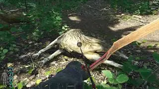 M1, head exploded in the forest