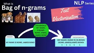 Bag of n-grams  in 120 seconds !! NLP Text vectorization