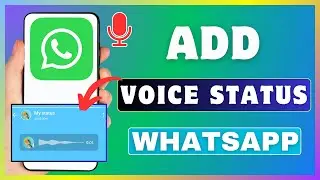 How To Post Voice Status On WhatsApp | Add Audio Recording Note On WhatsApp Status