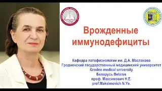 Врожденные иммунодефициты. Проф. Максимович Н.Е. Congenital immunodeficites. Prof.Maksimovich N.Ye.