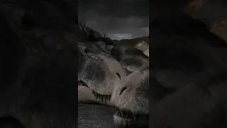 How Dinosaurs Slept? 