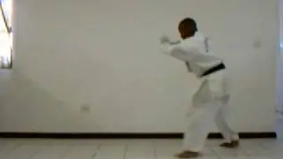 Kumite Kata 1 - Ashihara Karate