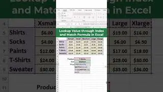 Lookup Value through Index and Match Formula in Excel  #excel #excelfunction