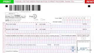 Form 500EZ Short Individual Income Tax