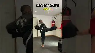 WHITE BELT ATTEMPTS BLACK BELT KICKS