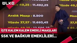 İşte Kalem Kalem Emekli Maaşları... SSK ve BAĞKUR Emeklileri Ne Kadar Alacak?