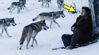 The wolves surrounded the man, he thought it was the end, when suddenly he saw HIM!