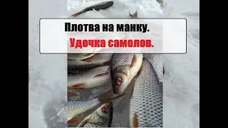 Рыбалка. Плотва на манку. Удочка самолов. Зимняя рыбалка в пургу. Манка для рыбалки.