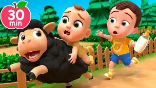 🐑Baa Baa Black Sheep Song | Newborn Baby Songs & Nursery Rhymes