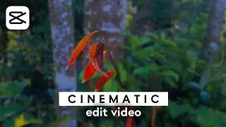 Cara Edit Video Cinematic Di Android - Capcut Tutorial