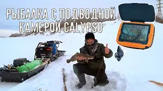 ЛОВЛЯ НАЛИМА НА КРАЙНЕМ СЕВЕРЕ \ ПОДВОДНАЯ КАМЕРА CALYPSO ПОМОГАЕТ ПОЙМАТЬ ЖИВЦА \ РЫБАЛКА 2019