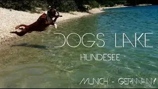 Munich - Germany - Dogs Lake - Hundesee - Dogs compilation - Drone Footage - Summer - Adventure