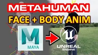 Metahuman Face and Body Animation Export from Maya to Unreal