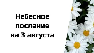 Небесное послание на 3 августа. Ваши пути.