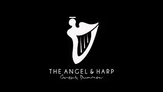 Beer Festival at The Angel and Harp