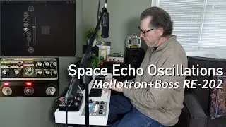 Swirling Repeat Oscillations: Mellotron and Boss RE-202 Space Echo