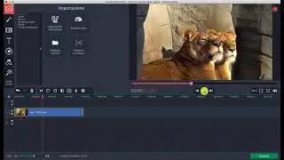 Come tagliare un video con Movavi - Tutorial