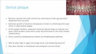 Microbiology - Microflora