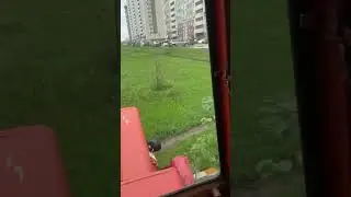 Косим траву трактором и штилями🌿 Бизнес на покосе травы. #fs #350 #stihl