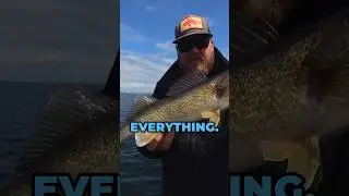 Best ALL-AROUND walleye setup!!! #Walleye #walleyefishing #fishing #shorts