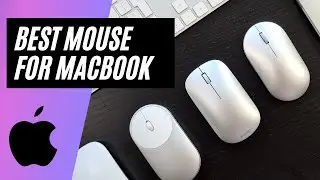 Best Mouse for MacBook in 2022 - Which mouse works best with your Mac?