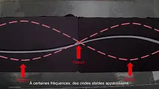Au-delà du modèle de Bohr : Plaques de Chladni et orbitales atomiques