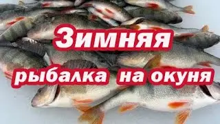 ОСОБЕННОСТИ Зимней рыбалки НА ОКУНЯ! Приманки, проводки, место ловли!