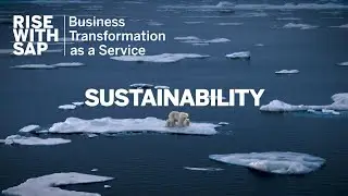 RISE with SAP - Sustainability