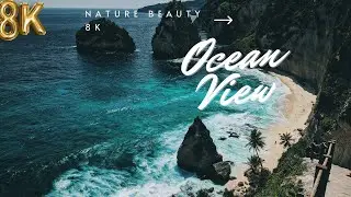 Ocean 8K ULTRA HD   The Best 8K Sea Animals for Relaxation & Calming Music