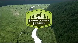 Зариблення річок Закарпаття струмковою фореллю, харіусом 2ч. ▶ Заповідники України 34 серія ▶ Трофей