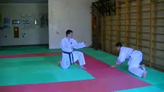 Demonstration Kihon Kumite [WADO KAI] - 5/2